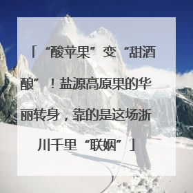 “酸苹果”变“甜酒酿”！盐源高原果的华丽转身，靠的是这场浙川千里“联姻”