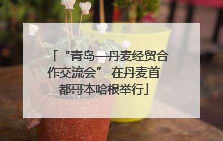 “青岛—丹麦经贸合作交流会” 在丹麦首都哥本哈根举行
