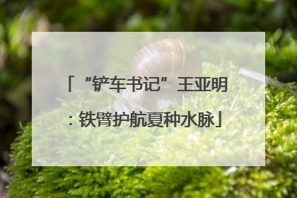 “铲车书记”王亚明：铁臂护航夏种水脉