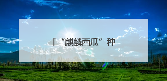 “麒麟西瓜”种出“甜蜜”未来
