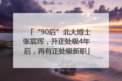“90后”北大博士张宸珲，升正处级4年后，再有正处级新职