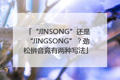 “JINSONG”还是“JINGSONG”？劲松拼音竟有两种写法