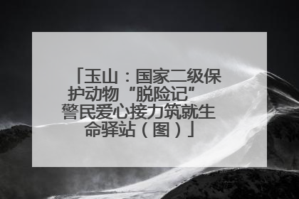 玉山：国家二级保护动物“脱险记” 警民爱心接力筑就生命驿站（图）