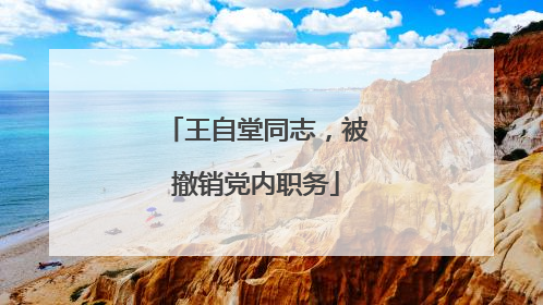 王自堂同志，被撤销党内职务