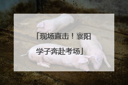 现场直击！襄阳学子奔赴考场