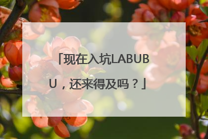 现在入坑LABUBU，还来得及吗？