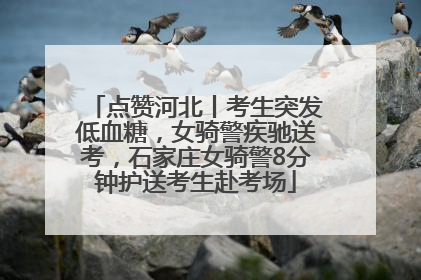 点赞河北丨考生突发低血糖，女骑警疾驰送考，石家庄女骑警8分钟护送考生赴考场