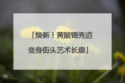 焕新！黄陂锦秀道变身街头艺术长廊
