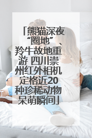 熊猫深夜“圈地”、羚牛故地重游 四川崇州红外相机定格近20种珍稀动物呆萌瞬间