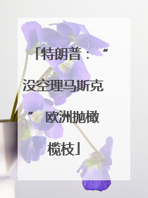 特朗普：“没空理马斯克” 欧洲抛橄榄枝