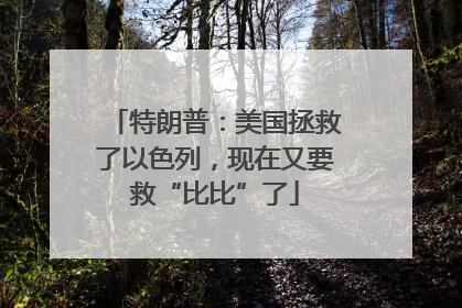 特朗普：美国拯救了以色列，现在又要救“比比”了