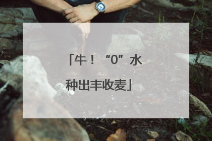 牛！“0”水种出丰收麦