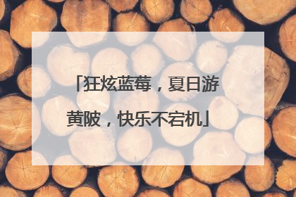 狂炫蓝莓，夏日游黄陂，快乐不宕机
