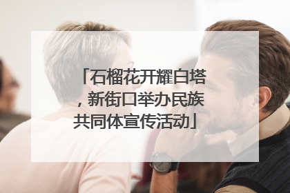 石榴花开耀白塔，新街口举办民族共同体宣传活动