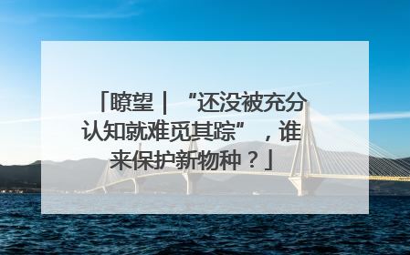 瞭望｜“还没被充分认知就难觅其踪”，谁来保护新物种？