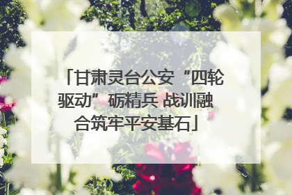 甘肃灵台公安“四轮驱动”砺精兵 战训融合筑牢平安基石