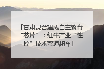 甘肃灵台建成自主繁育“芯片”：红牛产业“性控”技术弯道超车