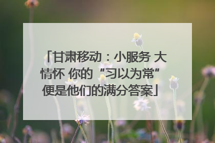 甘肃移动：小服务 大情怀 你的“习以为常”便是他们的满分答案