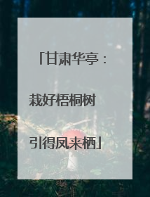甘肃华亭：栽好梧桐树 引得凤来栖