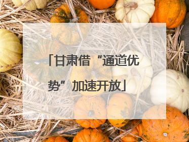 甘肃借“通道优势”加速开放