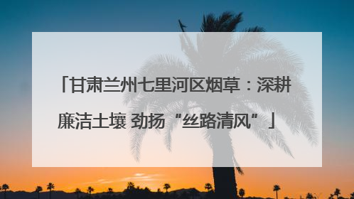 甘肃兰州七里河区烟草：深耕廉洁土壤 劲扬“丝路清风”