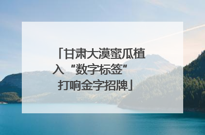 甘肃大漠蜜瓜植入“数字标签” 打响金字招牌