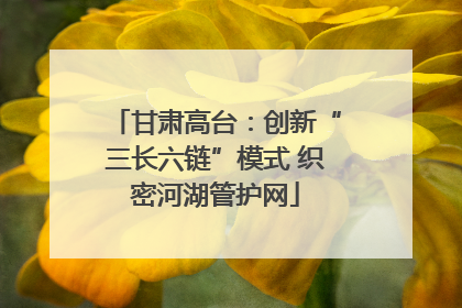 甘肃高台：创新“三长六链”模式 织密河湖管护网