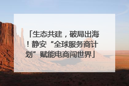 生态共建，破局出海！静安“全球服务商计划”赋能电商闯世界