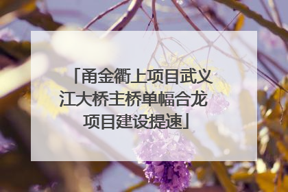 甬金衢上项目武义江大桥主桥单幅合龙 项目建设提速