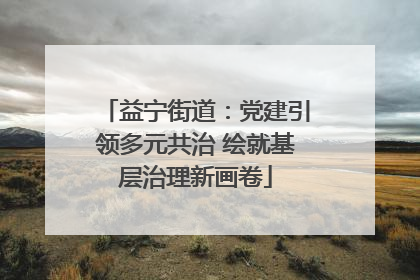 益宁街道：党建引领多元共治 绘就基层治理新画卷