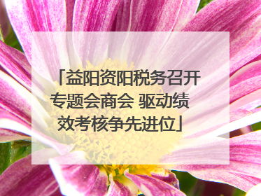 益阳资阳税务召开专题会商会 驱动绩效考核争先进位