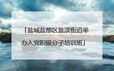 盐城盐都区盐渎街道举办入党积极分子培训班