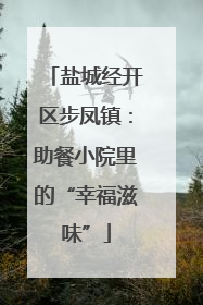 盐城经开区步凤镇：助餐小院里的“幸福滋味”