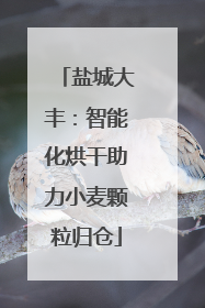 盐城大丰：智能化烘干助力小麦颗粒归仓