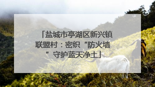 盐城市亭湖区新兴镇联盟村：密织“防火墙”守护蓝天净土