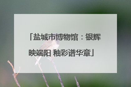 盐城市博物馆：银辉映端阳 釉彩谱华章