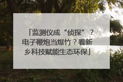 监测仪成“侦探”？电子鞭炮当爆竹？看新乡科技赋能生态环保