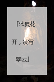 盛夏花开，凌霄攀云