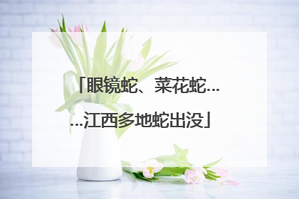 眼镜蛇、菜花蛇……江西多地蛇出没