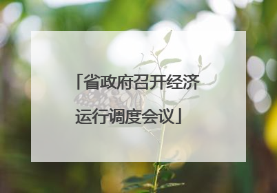 省政府召开经济运行调度会议