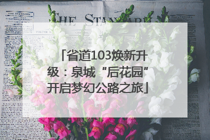 省道103焕新升级：泉城“后花园”开启梦幻公路之旅