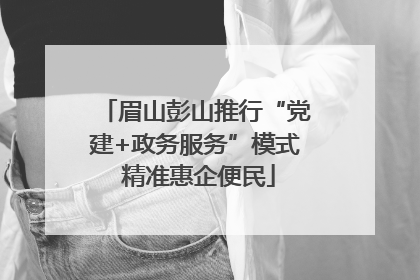 眉山彭山推行“党建+政务服务”模式 精准惠企便民