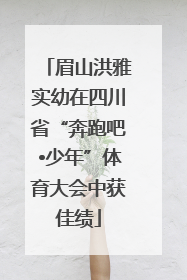 眉山洪雅实幼在四川省“奔跑吧•少年”体育大会中获佳绩
