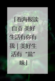 看海报读自贡 美好生活有你有我｜美好生活有“盐”味