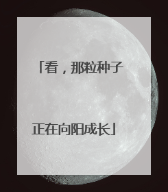 看，那粒种子正在向阳成长