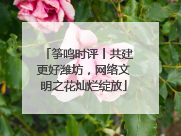 筝鸣时评丨共建更好潍坊，网络文明之花灿烂绽放