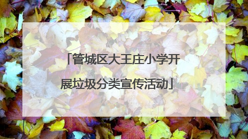 管城区大王庄小学开展垃圾分类宣传活动