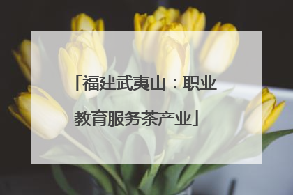 福建武夷山：职业教育服务茶产业