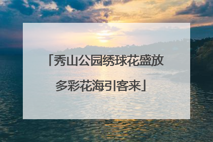 秀山公园绣球花盛放 多彩花海引客来