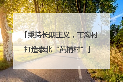 秉持长期主义，苇沟村打造泰北“黄精村”